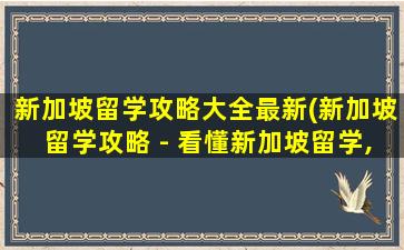 新加坡留学攻略大全最新(新加坡留学攻略 - 看懂新加坡留学,只要这一篇就够了)